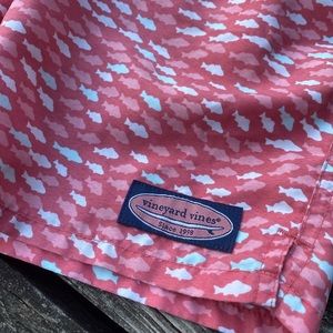 Vineyard Vines trunks (boys)